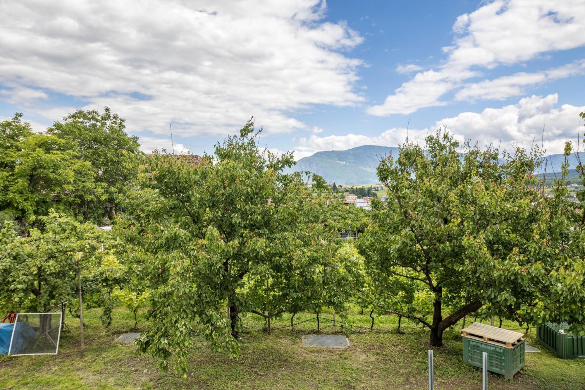 Angerblick Apartment Appiano Sulla Strada Del Vino Exterior foto